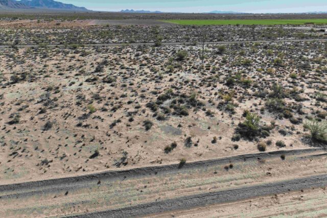 SN95 – 0.5 ac in Deming NM. $75 per month, yeah really!